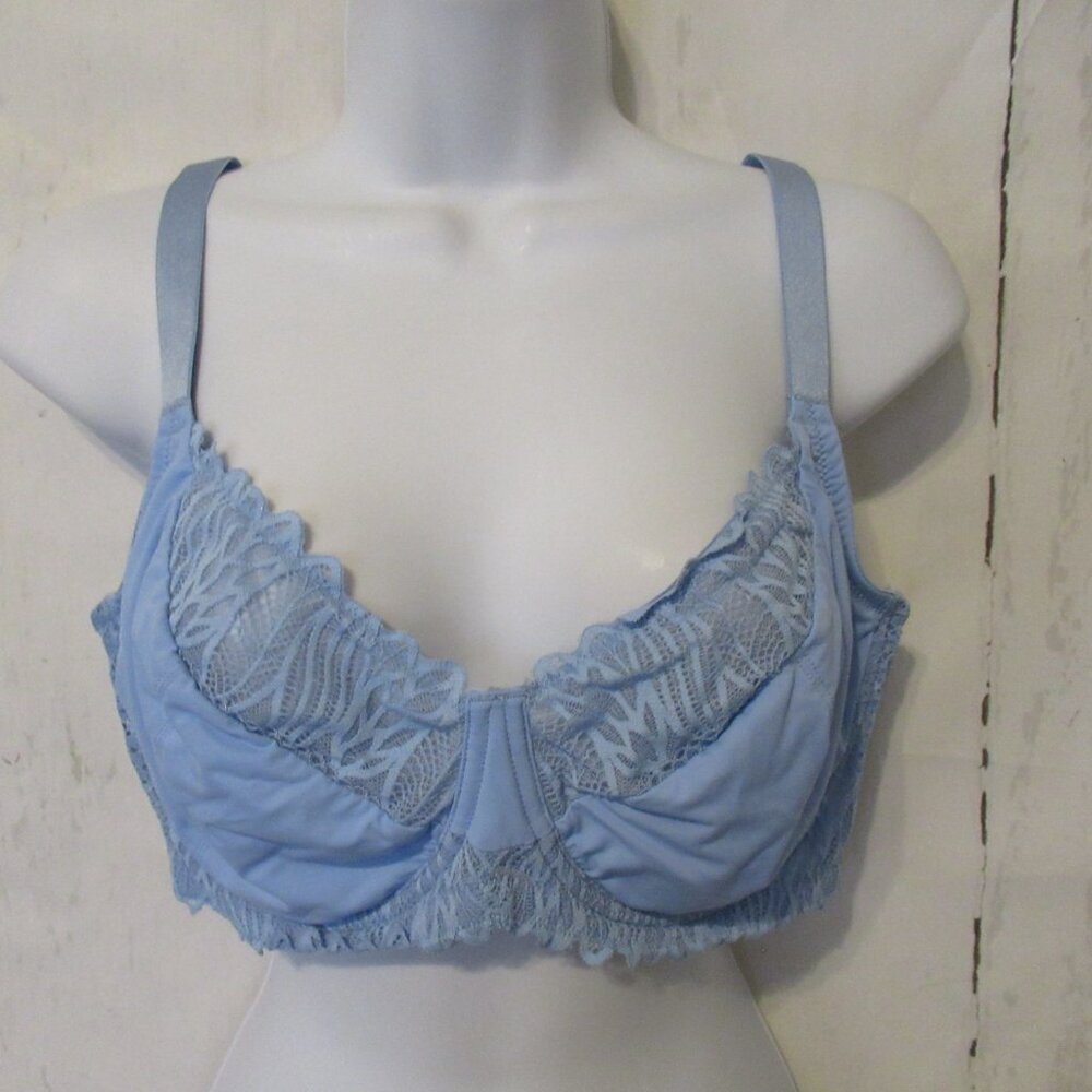 HSIA Bra 40D Blue Lace Sheer Back Closure‎ Underwire